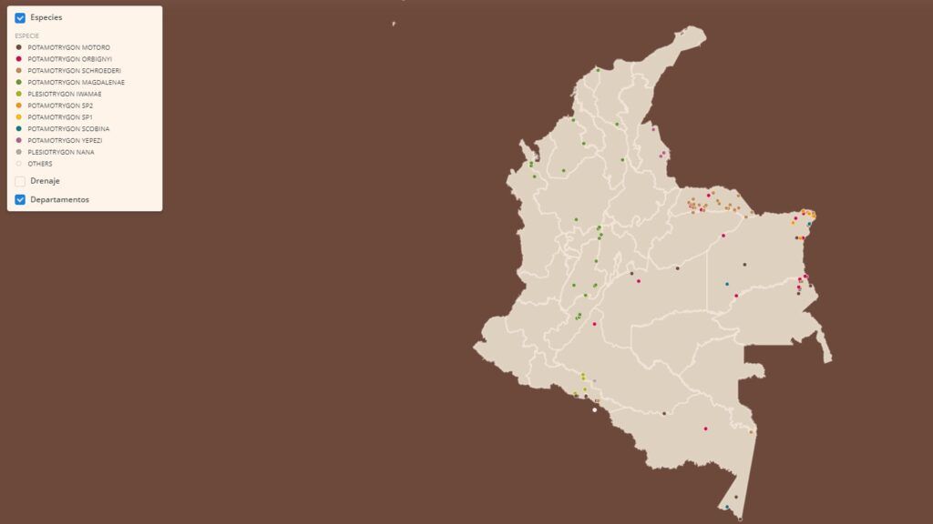 Localizacion especies de rayas en colombia
